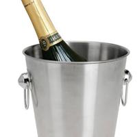 portaghiaccio bottiglia secchiello porta bottiglie