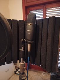 microfono professionale 