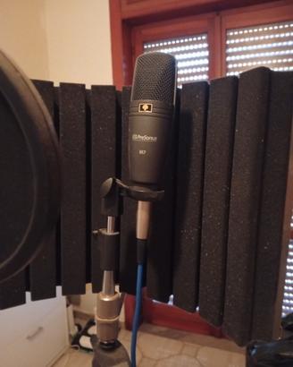 microfono professionale 