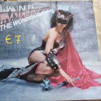 VINILI IN BLOCCO DA 9 PEZZI