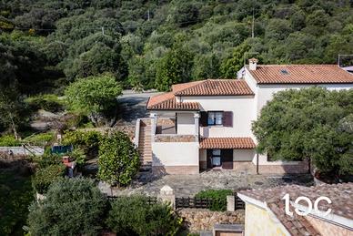 Ampia porzione immobiliare con ampio cortile priva