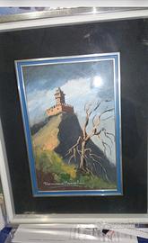 Collezioni