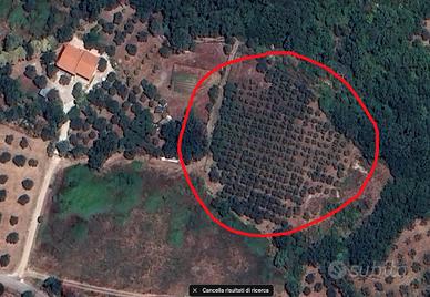 Terreno in via Tempa Rossa, 64