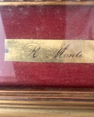 R.monti
