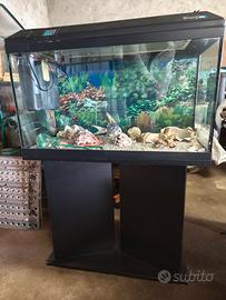 Acquario Askoll Tenerife 88 