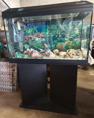 Acquario Askoll Tenerife 88 