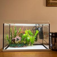 Acquario 20l