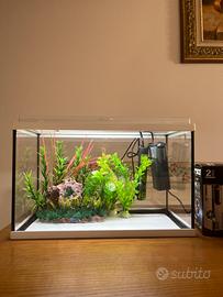 Acquario 20l
