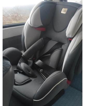sediolone cam per auto 