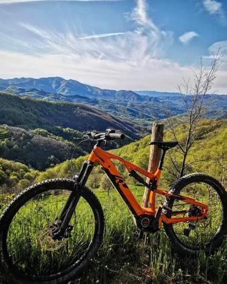 Raymon trailray 140 E 8.0