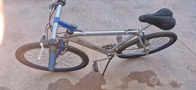 Mountain Bike Argento-Blu
