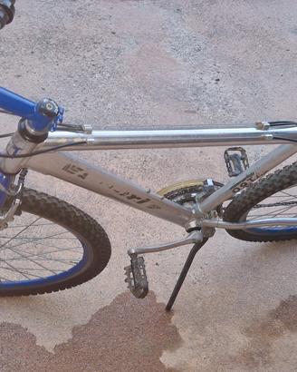 Mountain Bike Argento-Blu