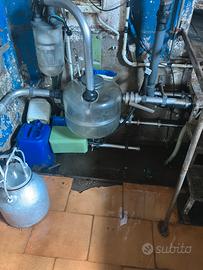 Sala mungitura