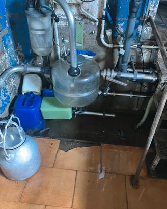 Sala mungitura