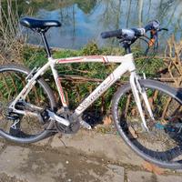 Varie Bici Ibride Sportive PRONTE