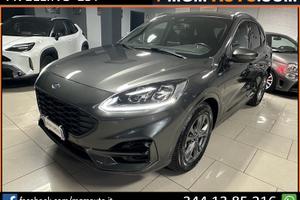 Ford Kuga 1.5 EcoBlue 120 CV aut. 2WD ST-Line X