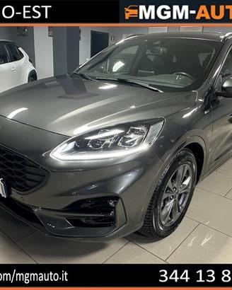 Ford Kuga 1.5 EcoBlue 120 CV aut. 2WD ST-Line X