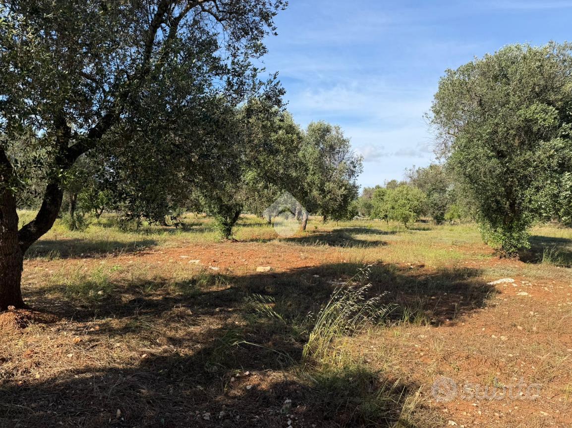 TER. AGRICOLO A CAROVIGNO - Vista 5