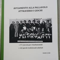 Avviamento alla pallavolo attraverso i giochi.
