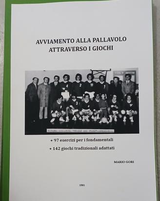 Avviamento alla pallavolo attraverso i giochi.