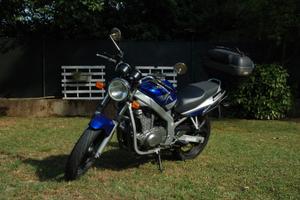 Suzuki GS 500