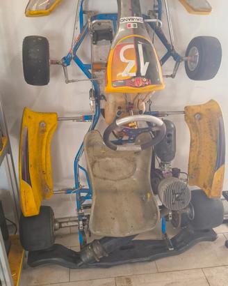 go-kart 100 presa diretta