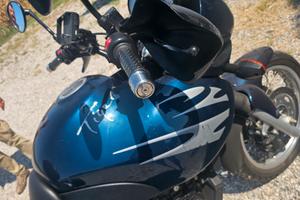 Triumph Tiger 