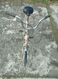 Bicicletta Vintage 