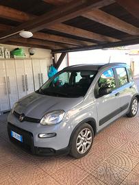 FIAT Panda 3ª serie - 2021