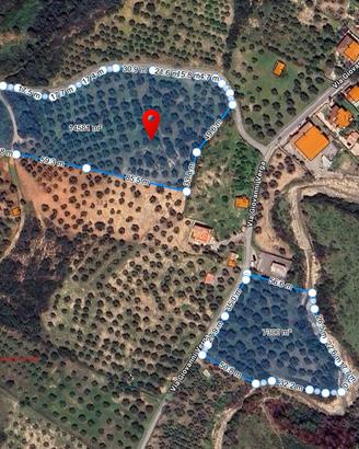  terreno agricolo(uliveto)