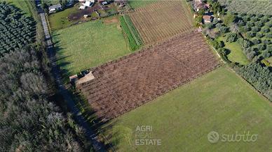 Cisterna di LT - Terreno con impianto kiwi | TR379