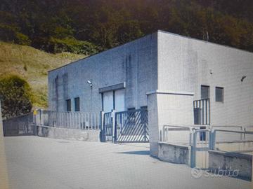 Disponibilita' immediata