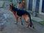 Immagine 2