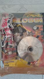 VARIATORE MALOSSI 5111287