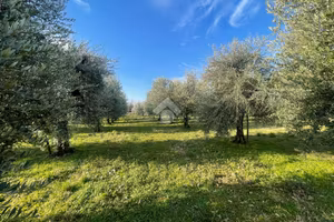 TERRENO A MANERBA DEL GARDA
