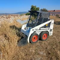 Minpiala Bobcat 543