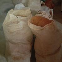 Reti per raccolta delle olive 50 alberi olivi 40+