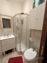 Monolocale bologna centro