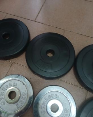 manubri per palestra