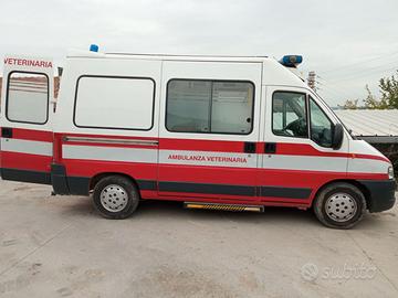 Ambulanza Veterinaria