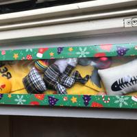 Mix giochi per Gatto