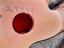 Immagine 5