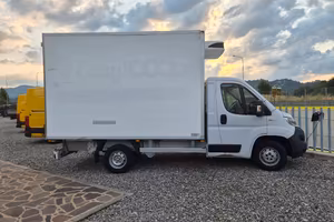 FIAT DUCATO FRIGO 2019