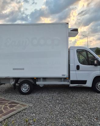 FIAT DUCATO FRIGO 2019