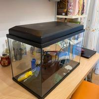 Acquario - 55 litri 