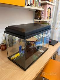 Acquario - 55 litri 