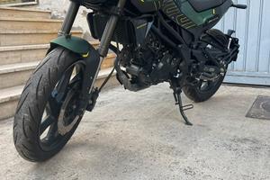 🏍️ Benelli leoncino 125 2023 🏍️