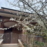 Villa Singola con spazio esterno