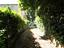 Immagine 22