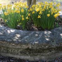 Antica vera da pozzo in trachite da villa veneta